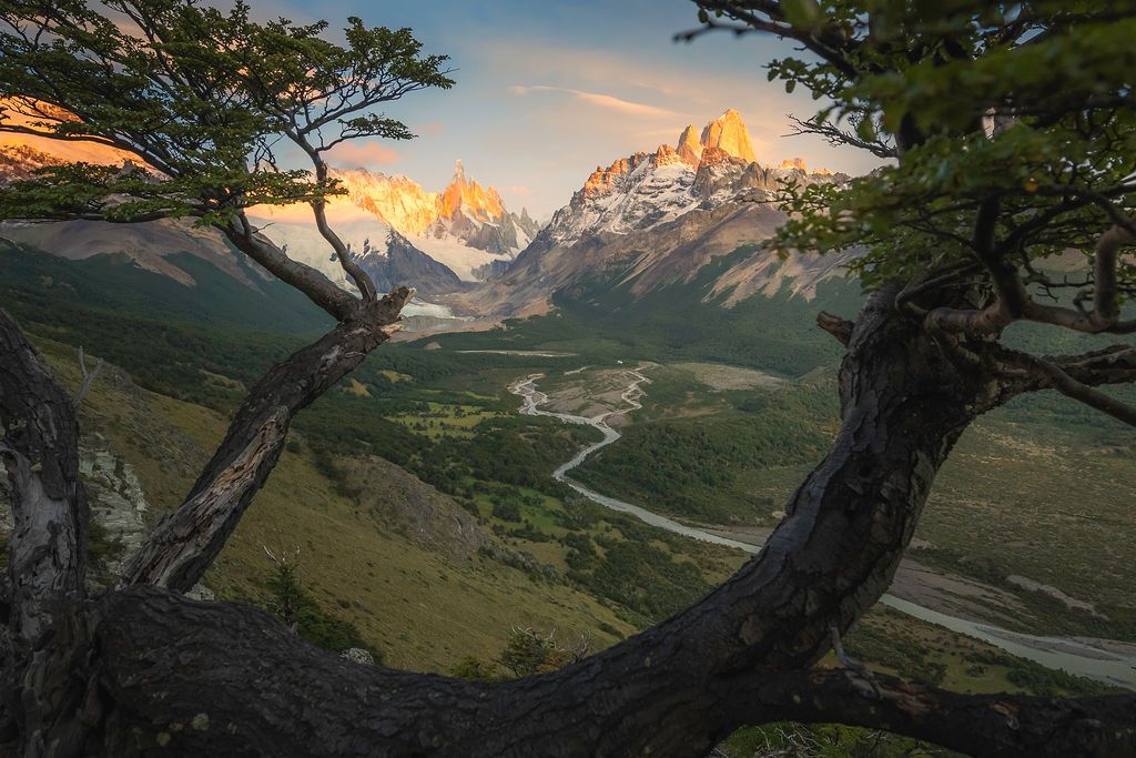 Twisted lenga beech trees frame a winding river valley below glowing Cerro Torre at sunset.