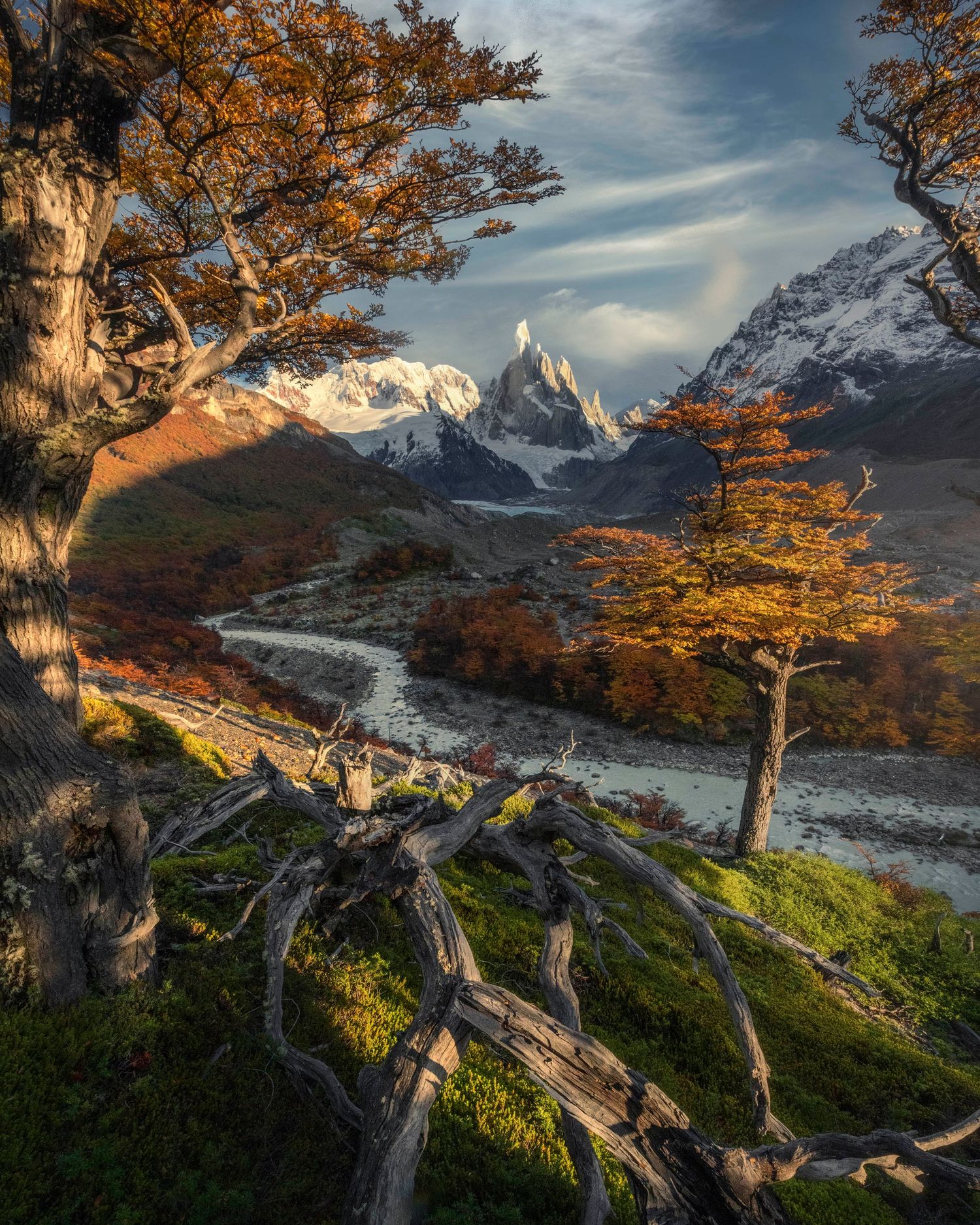 Autumn trees frame a glacial river valley with snow-capped Cerro Torre peak in Patagonia, Argentina.