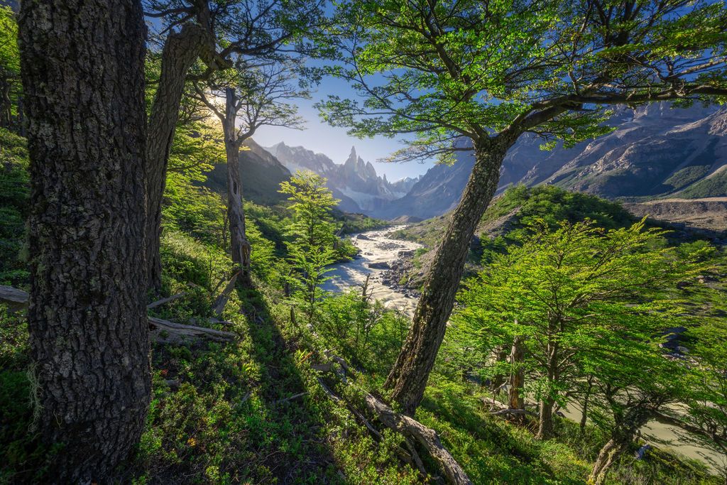 Sunlight filters through lush green trees revealing Cerro Torre mountain valley in Patagonia.