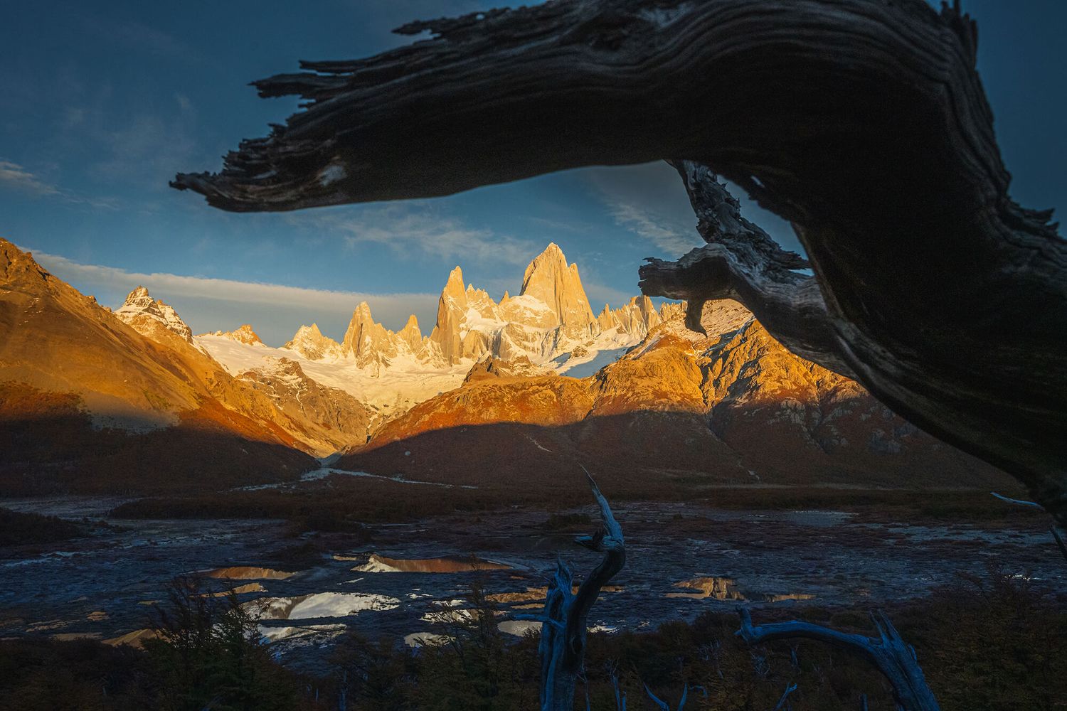 Mount Fitz Roy framed by a twisted dead tree at golden hour in El Chalten, Patagonia, Argentina.