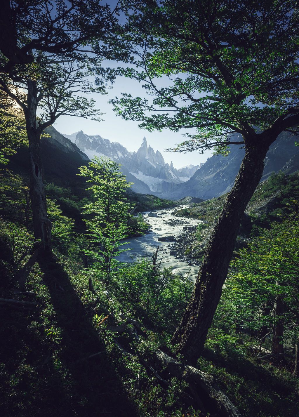 Forest trees frame a winding river valley leading to snow-capped Cerro Torre mountain.