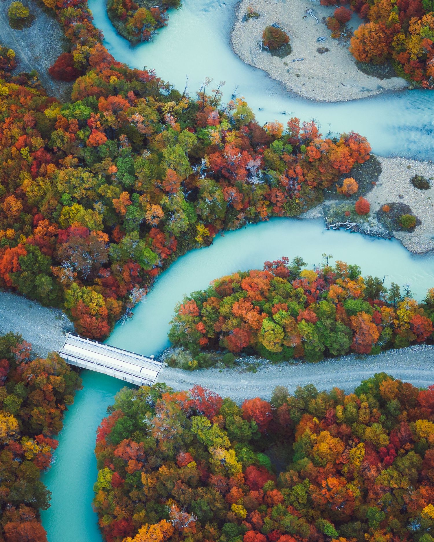 Aerial view of a winding turquoise river through vibrant autumn forest with a small bridge, fall foliage in red, orange, and green.