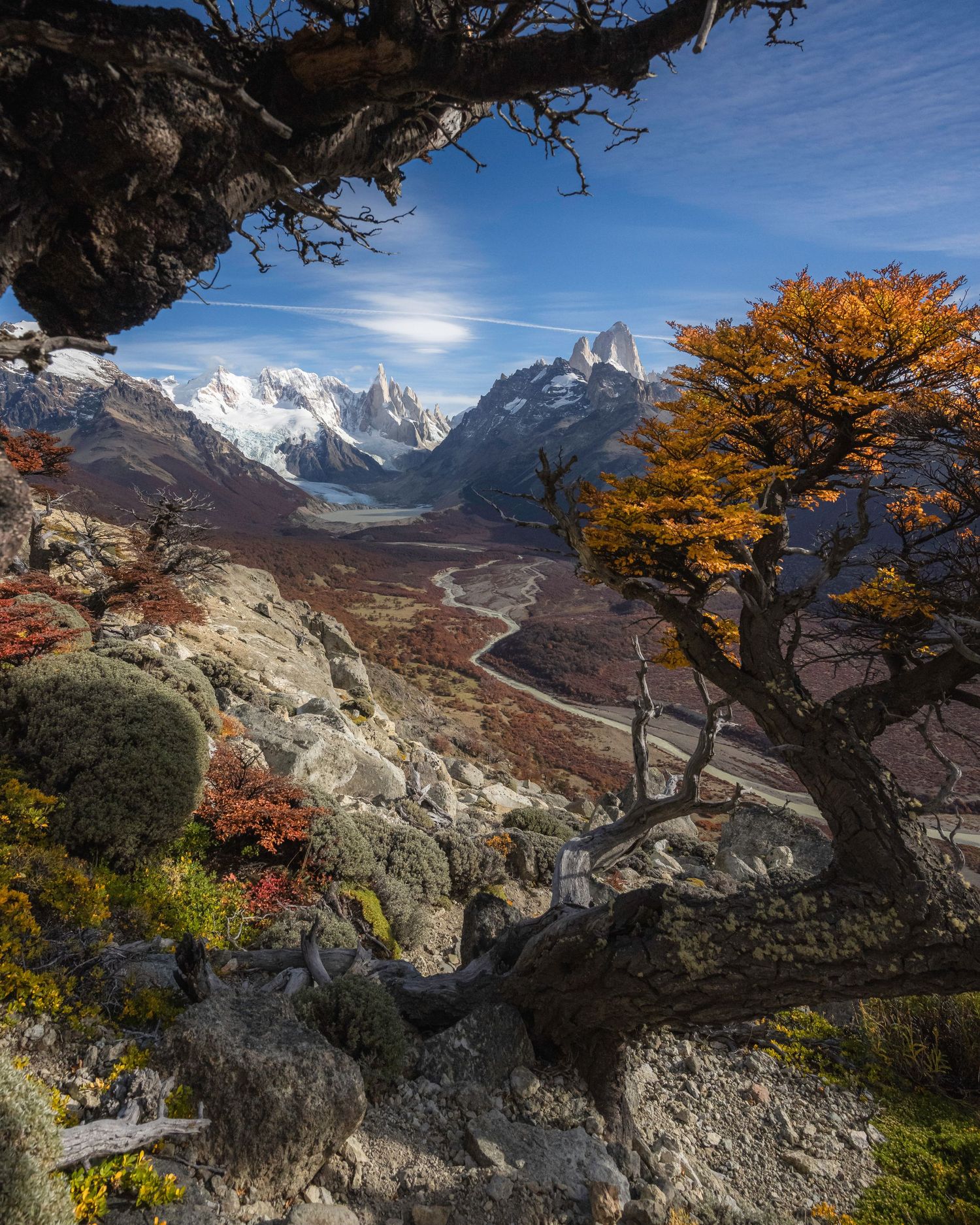 Autumn trees frame a stunning Patagonian valley with snow-capped peaks, winding river, and colorful foliage under a blue sky.