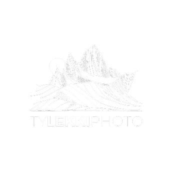 White minimalist mountain landscape logo with trees and peaks for TylerJPhoto photography brand.