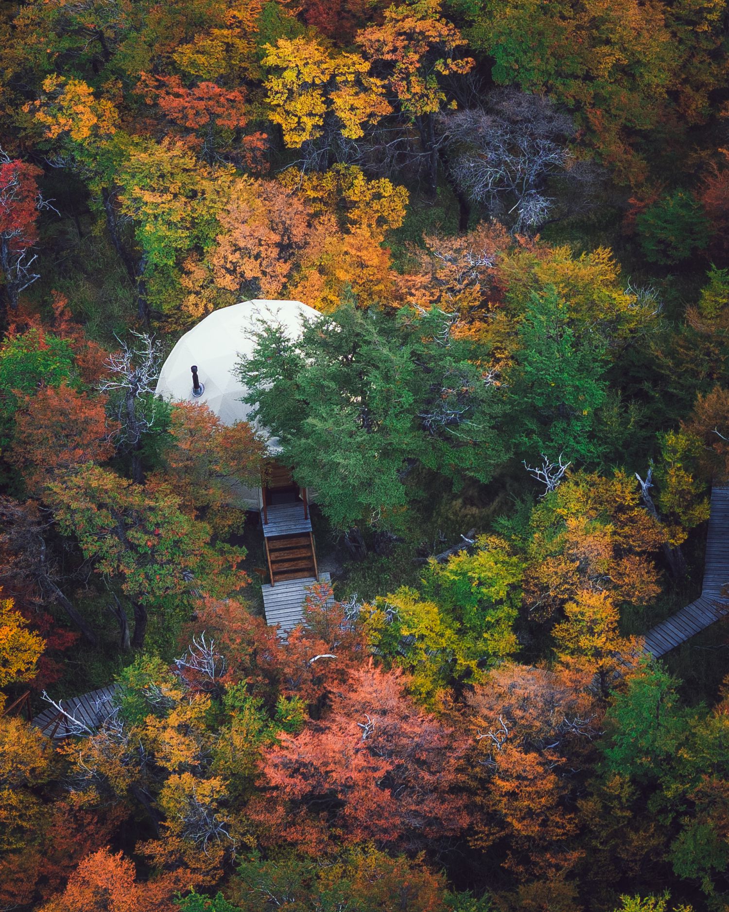 Aerial view of a white geodesic dome nestled among vibrant autumn foliage with red, orange, and green trees.