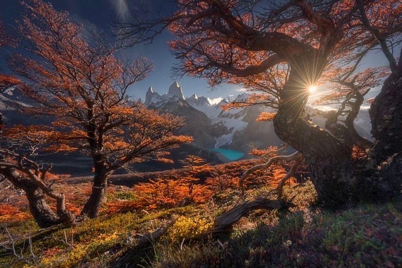 Vibrant autumn foliage trees frame Mount Fitz Roy with sunstar in Patagonia Argentina.
