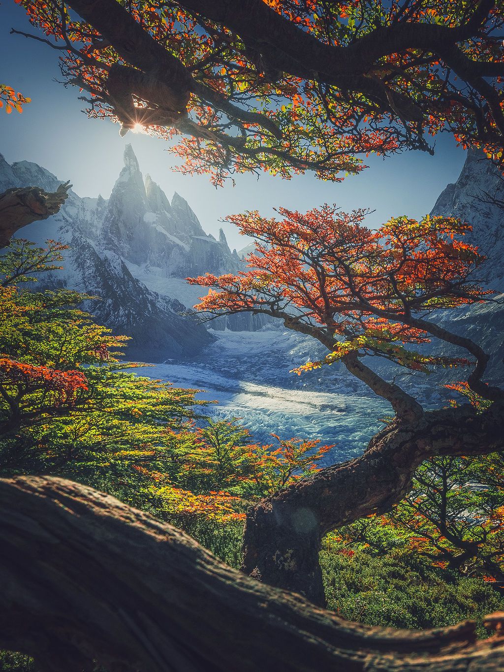 Colorful autumn lenga beech trees frame a glacier lake with towering Fitz Roy beyond.