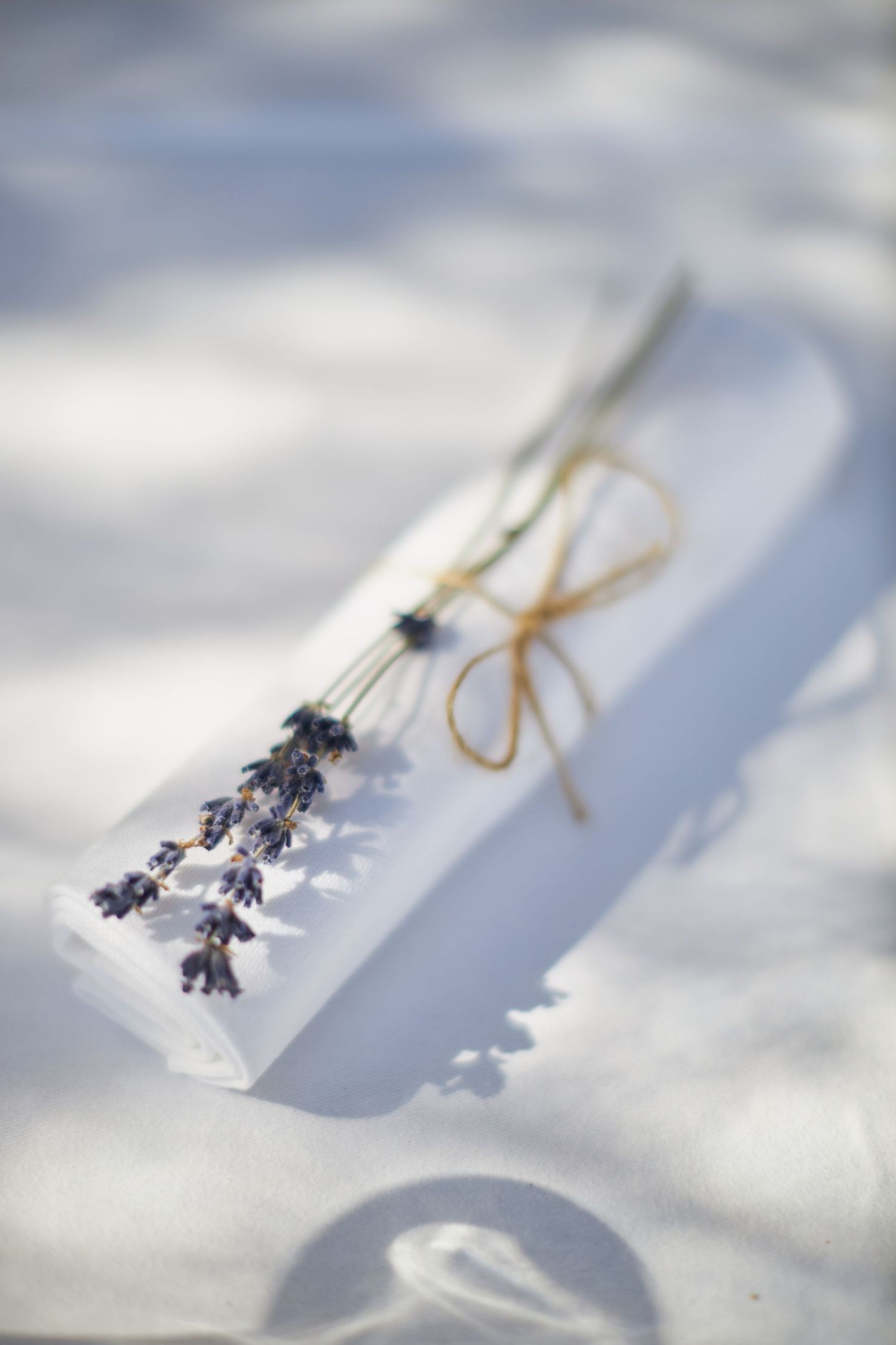 White rolled napkin tied with twine and decorated with dried lavender sprigs on white tablecloth.