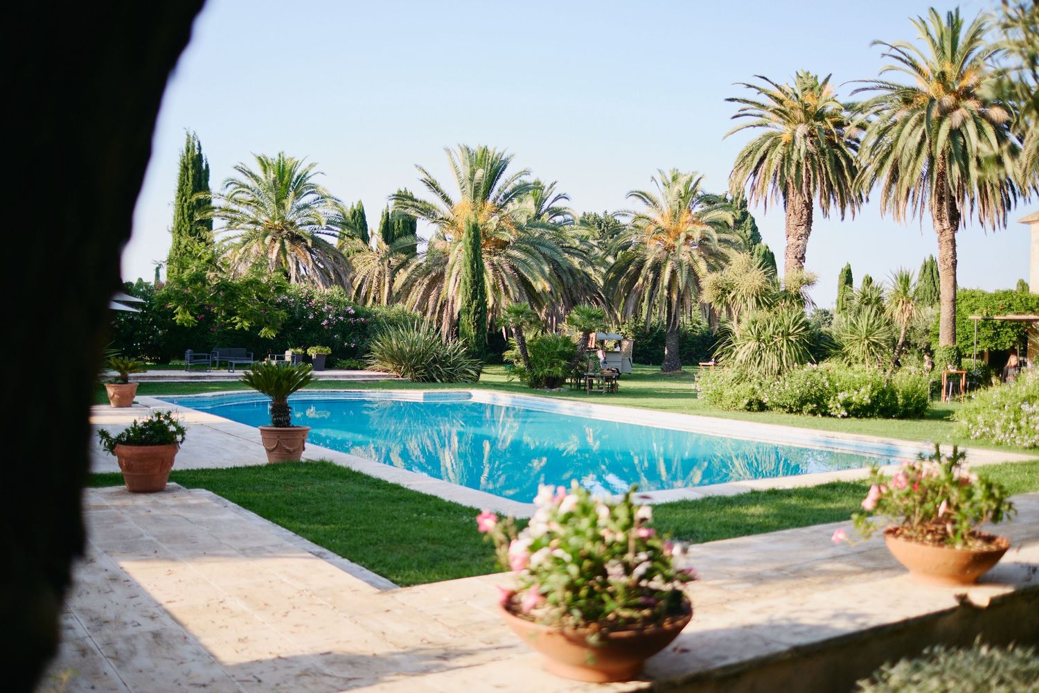 Elegant outdoor pool surrounded by lush palm trees and potted flowers at a Mediterranean wedding venue.