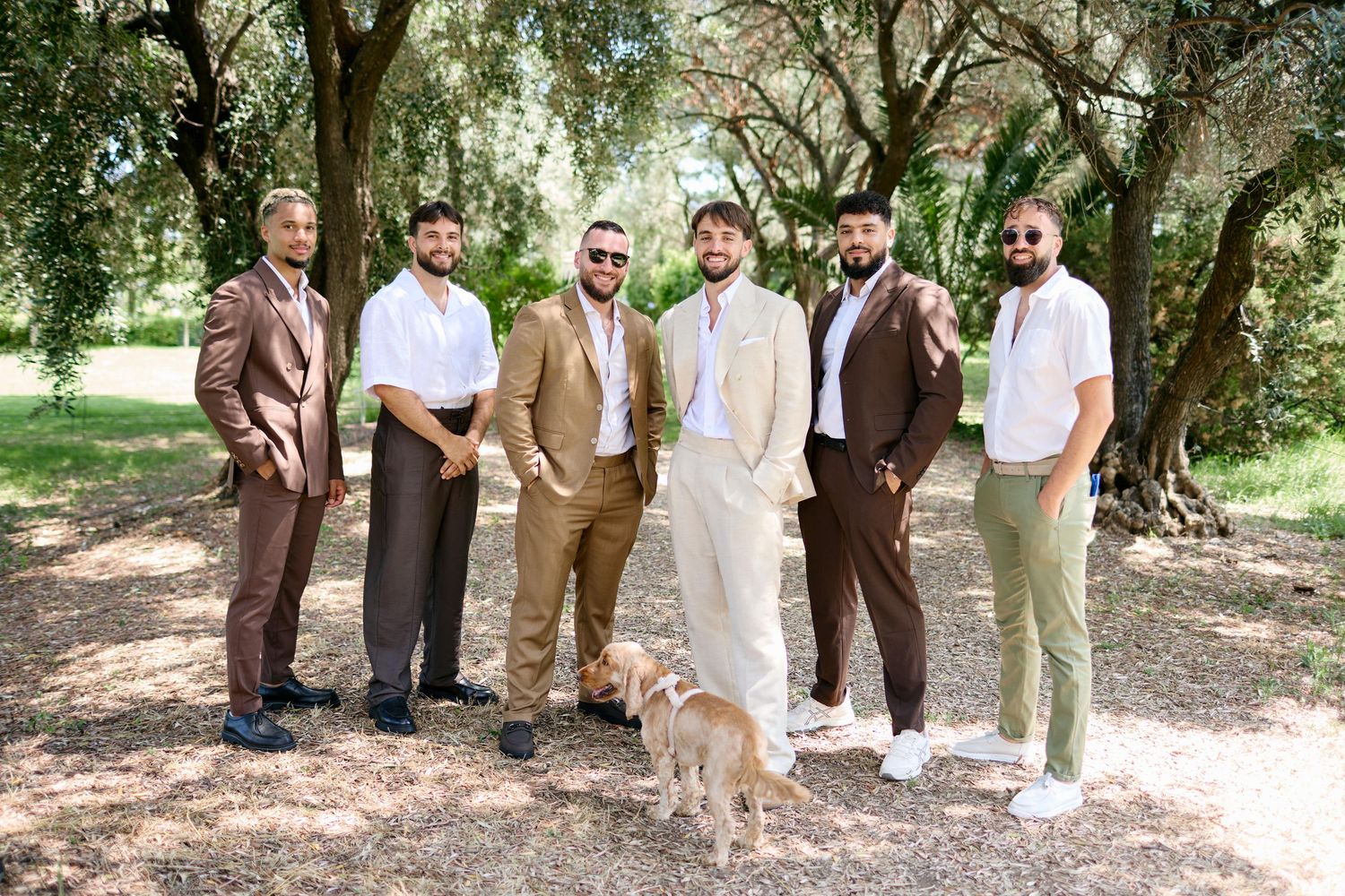 Six groomsmen posing with a golden dog in a shaded olive grove on a sunny wedding day.
