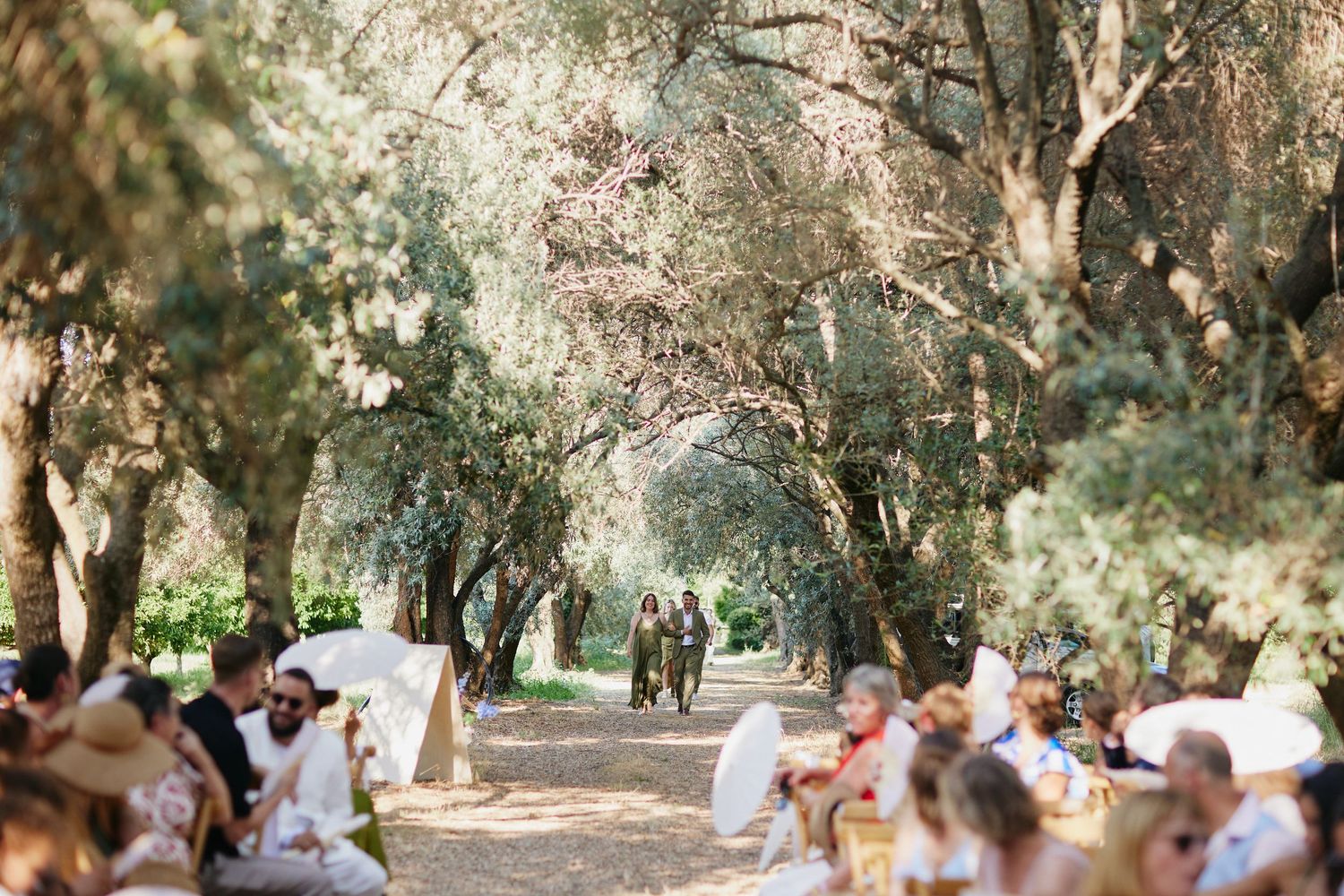 Wedding processional underway as guests seated under olive trees watch the bridal party walk down the aisle.