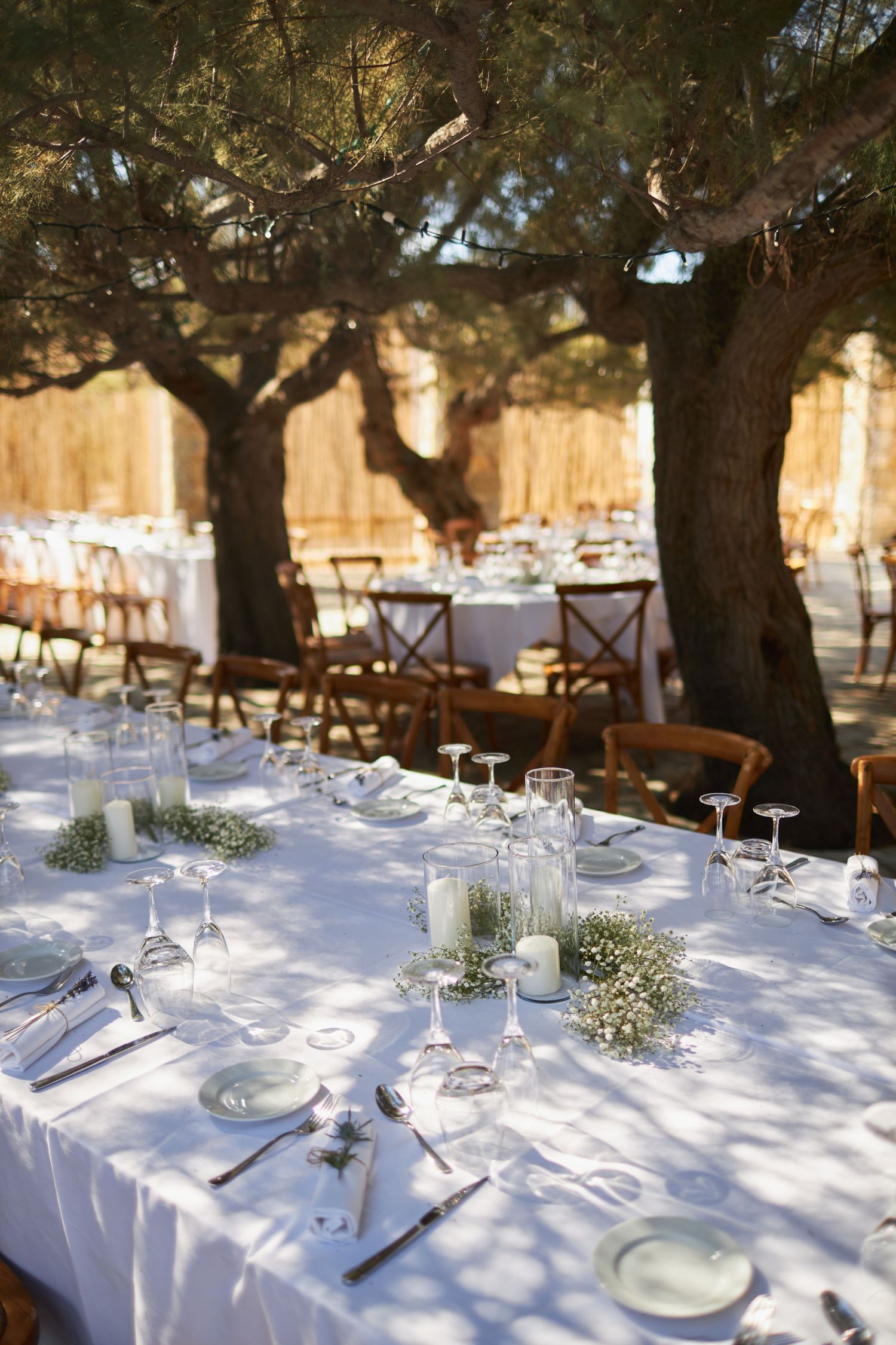 Outdoor wedding reception long table set with white linen, candles, and baby's breath under pine trees.