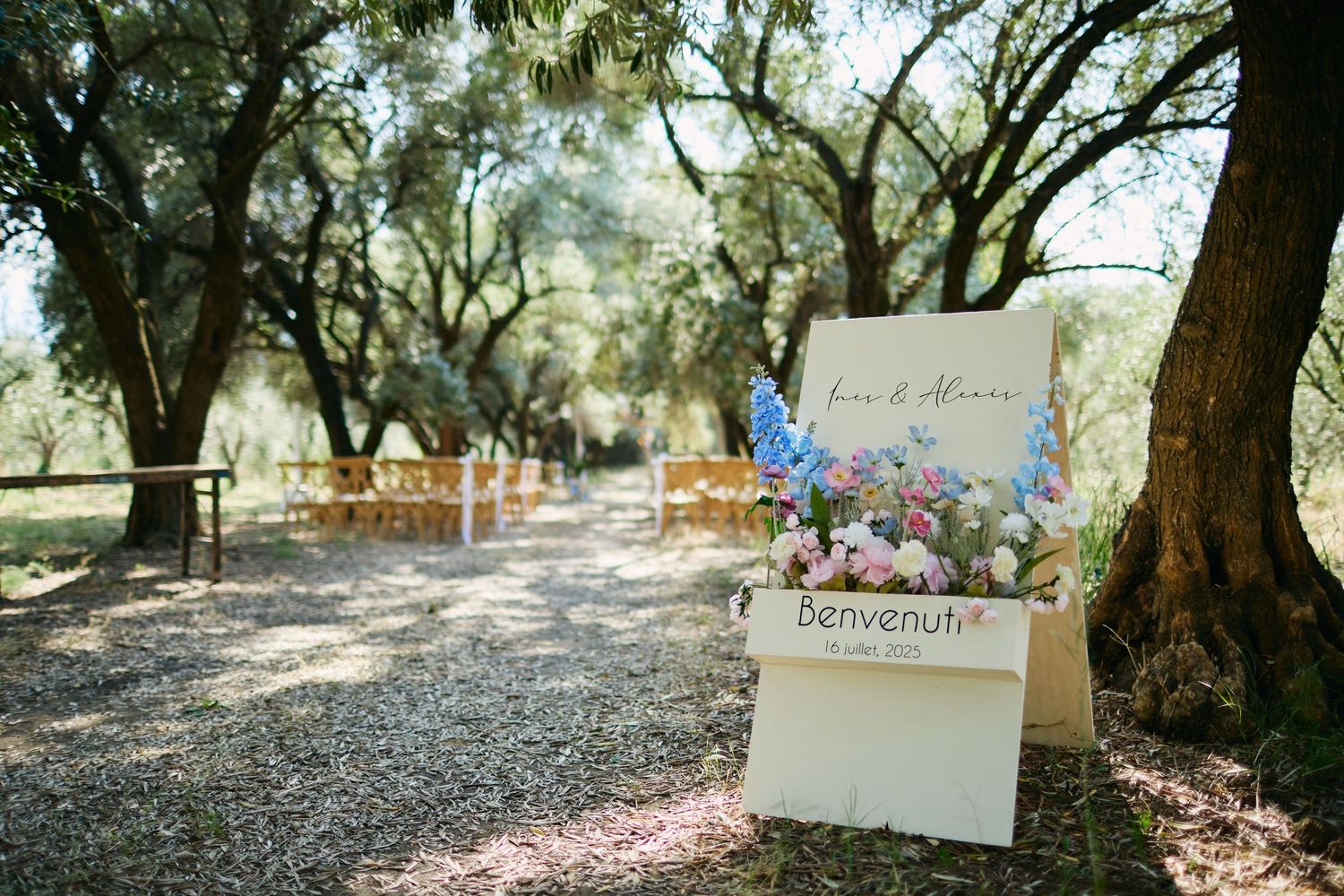 Welcome sign reading Benvenuti at an outdoor wedding ceremony set among olive trees with wooden chairs.