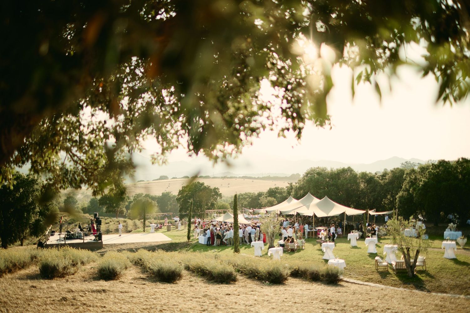 Vue de la cérémonie de mariage en extérieur au Domaine Terra d'Oru.