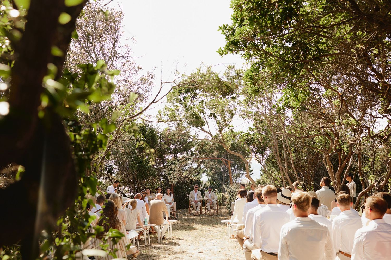 Guests in white attire seated along tree-lined aisle at outdoor wedding ceremony.