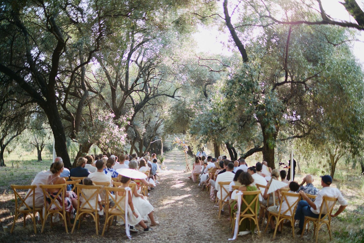 Guests seated on wooden chairs along tree-lined dirt aisle at elegant outdoor wedding ceremony.
