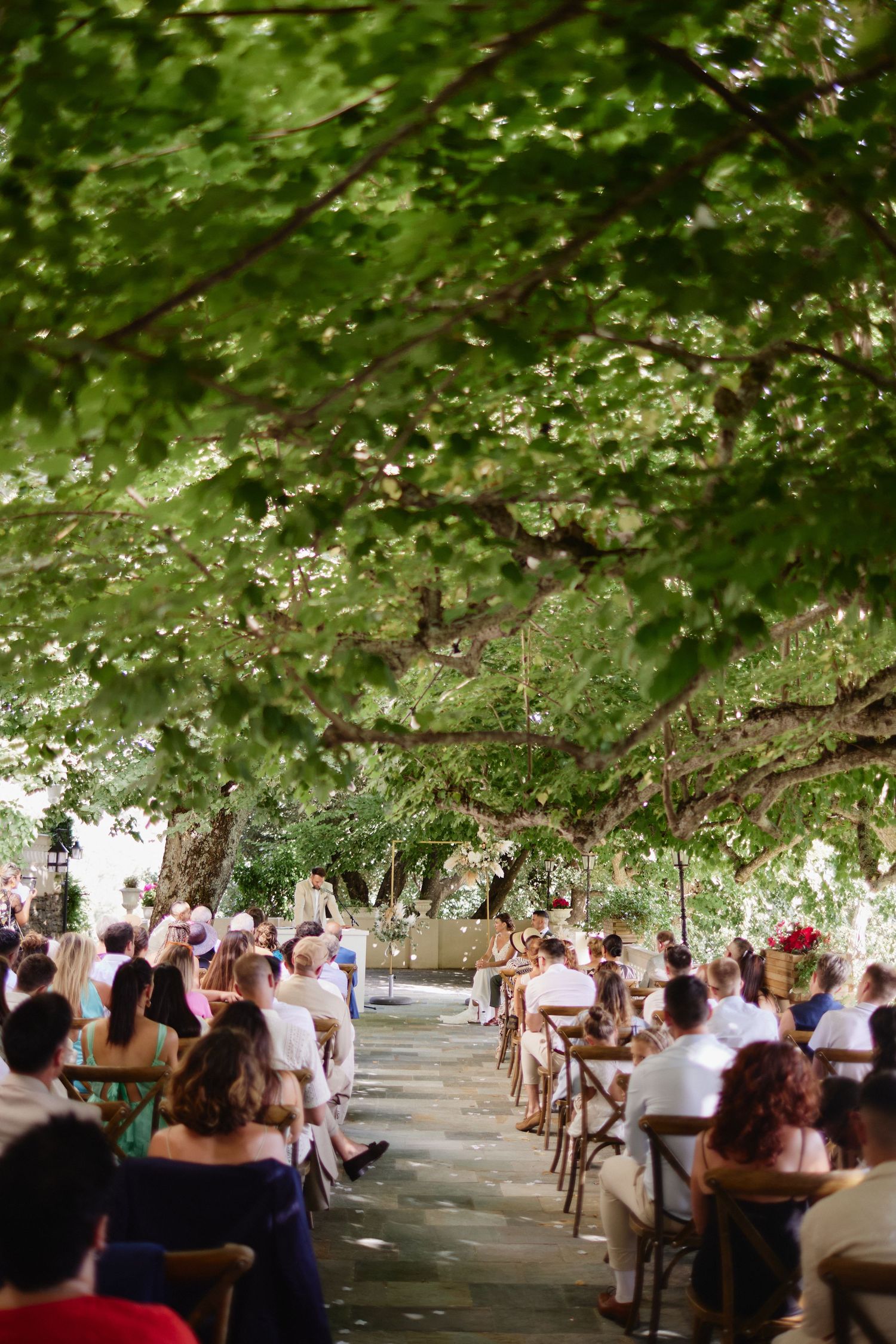 Guests seated along tree-lined aisle at beautiful outdoor wedding ceremony with lush green overhead canopy.