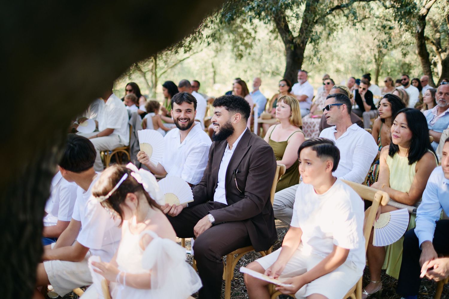 Wedding guests seated outdoors in a sunlit olive grove watching a woodland wedding ceremony.