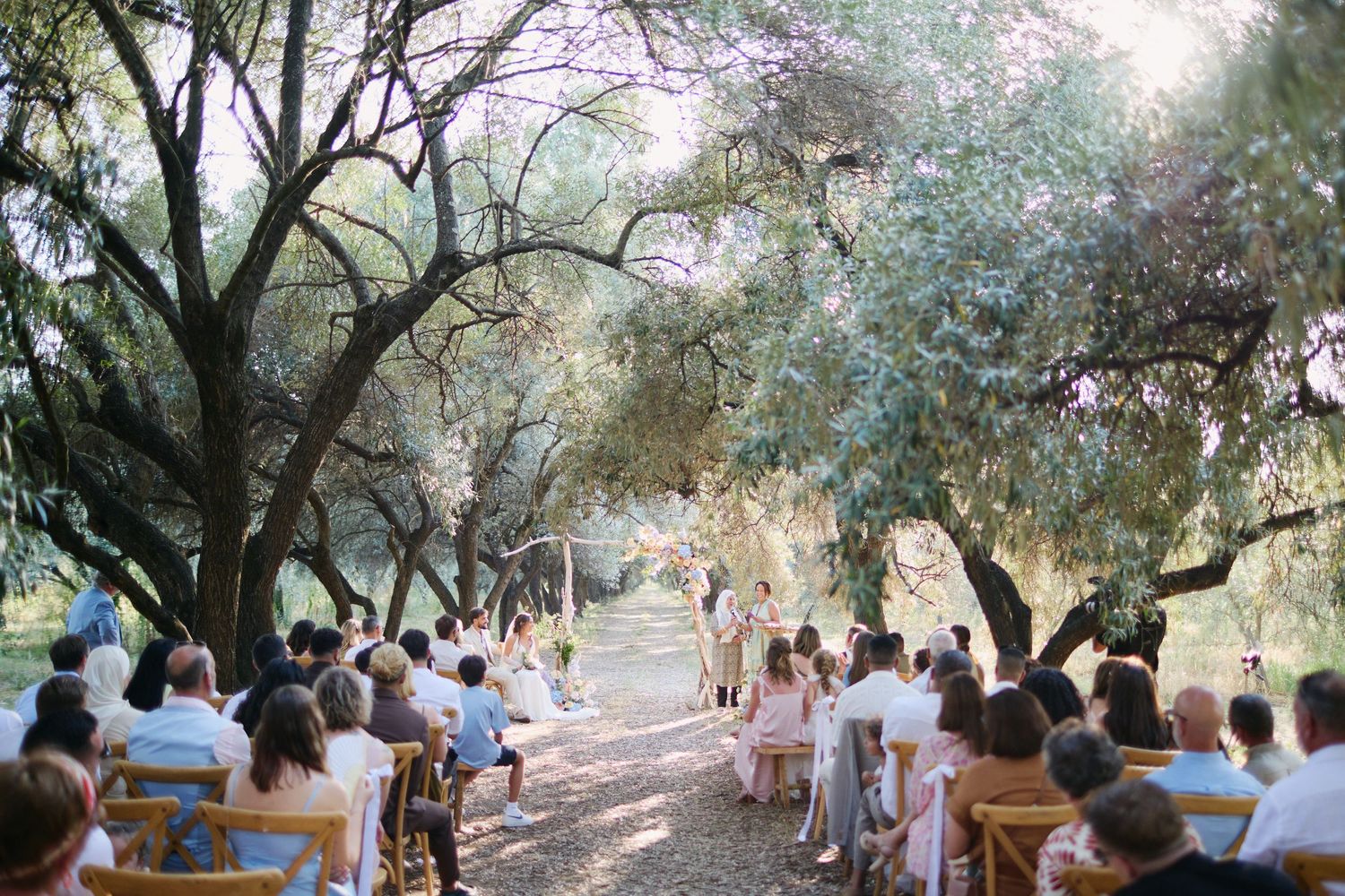 Cérémonie laïque sous l'oliveraie du domaine de Vignale, mariage en Corse