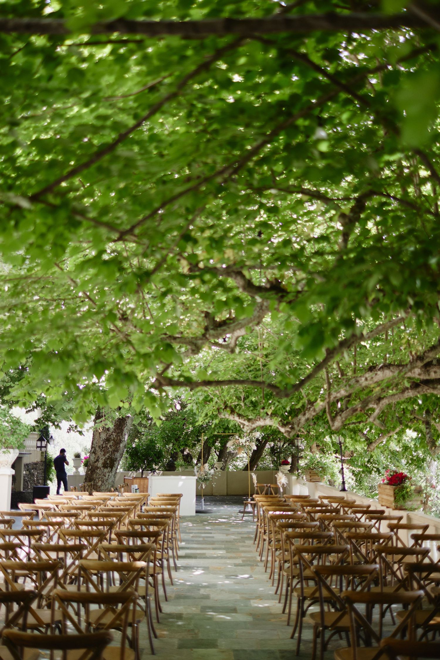 Outdoor wedding ceremony setup with wooden cross-back chairs lining a stone aisle under a canopy of lush green trees.