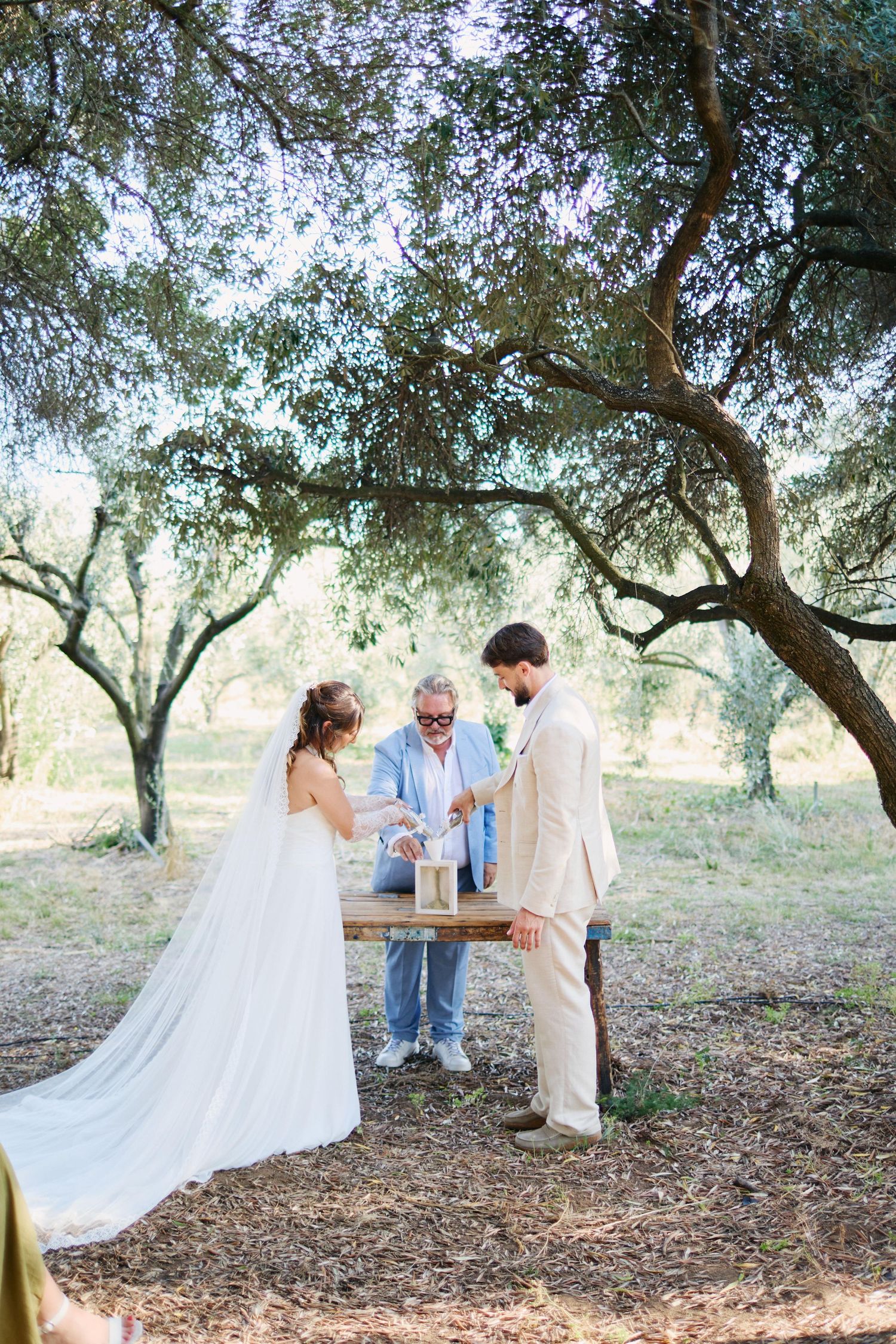 Cérémonie laïque sous l'oliveraie du domaine de Vignale, mariage en Corse