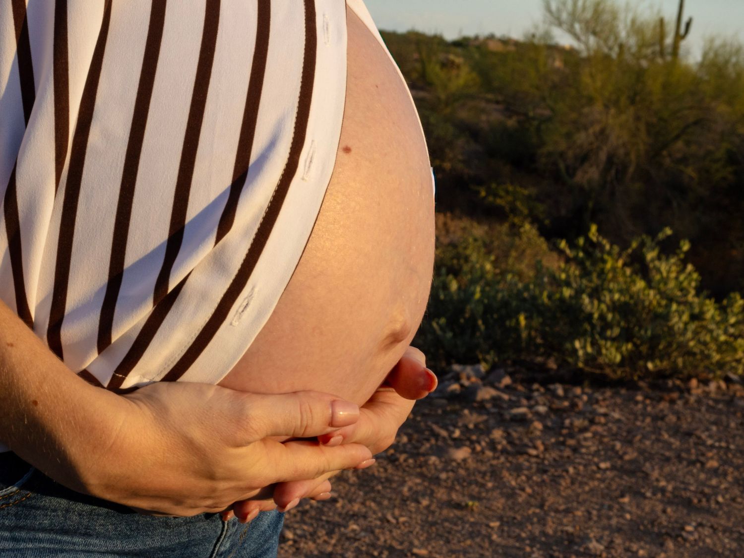 Side profile close-up of large pregnant belly in striped shirt against desert shrub background.