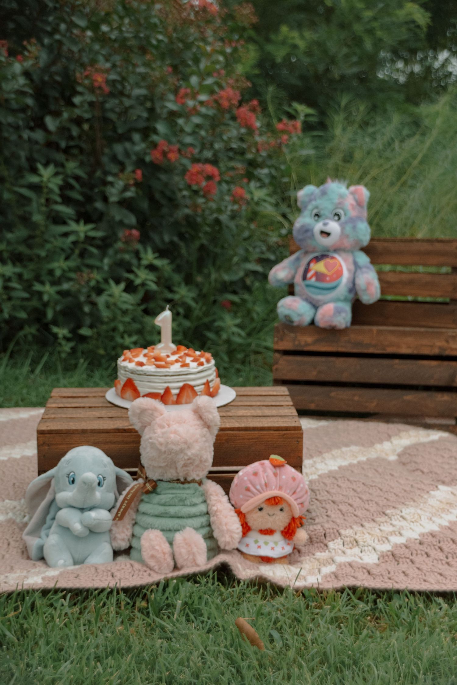Outdoor family pictures Republic, MO