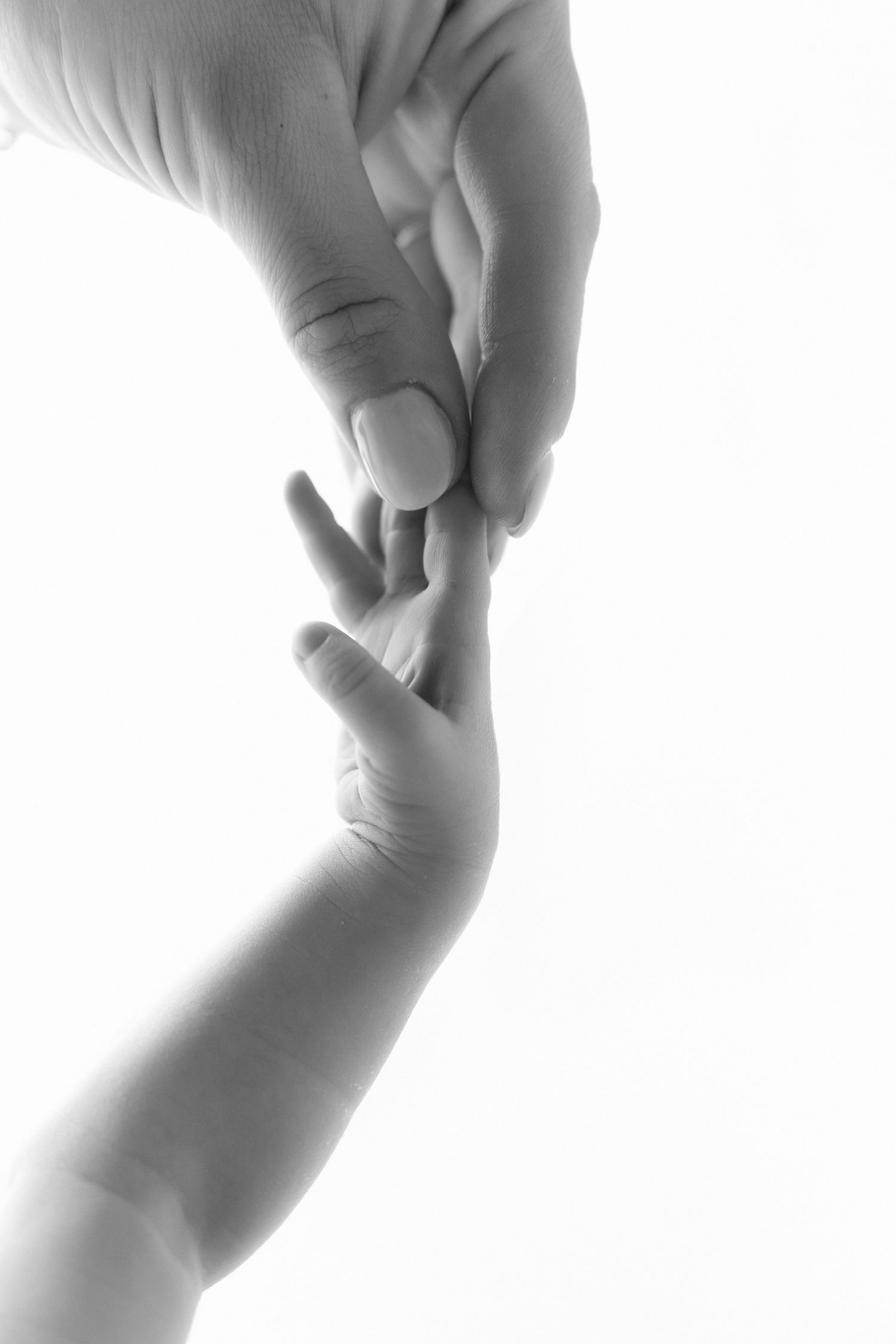 Black and white photo of an adult hand gently holding a small baby hand against a white background.