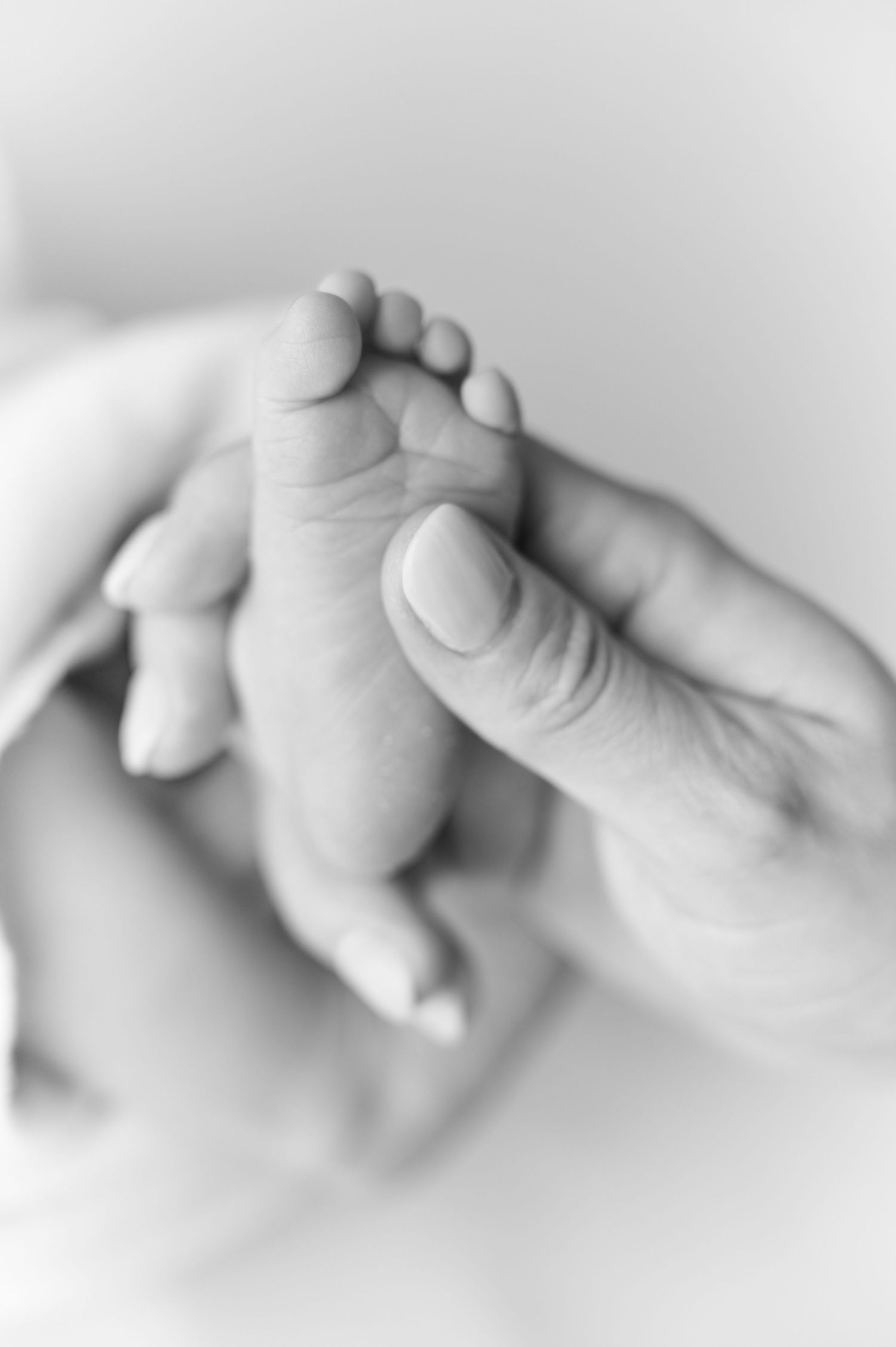 Black and white close-up of an adult hand gently holding a newborn baby's tiny foot.
