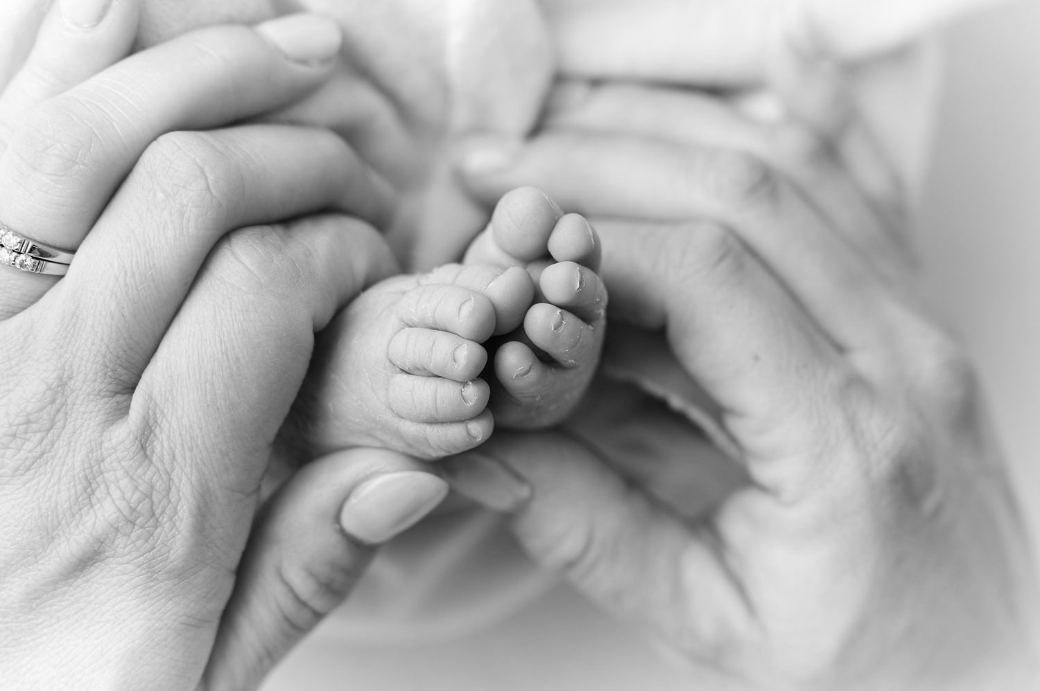 Black and white photo of a newborn baby's tiny hands being gently held by adult hands, symbolizing family love.