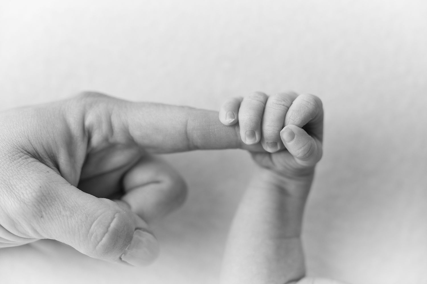 Black and white photo of a newborn baby grasping an adult finger, symbolizing new life and parental bond.