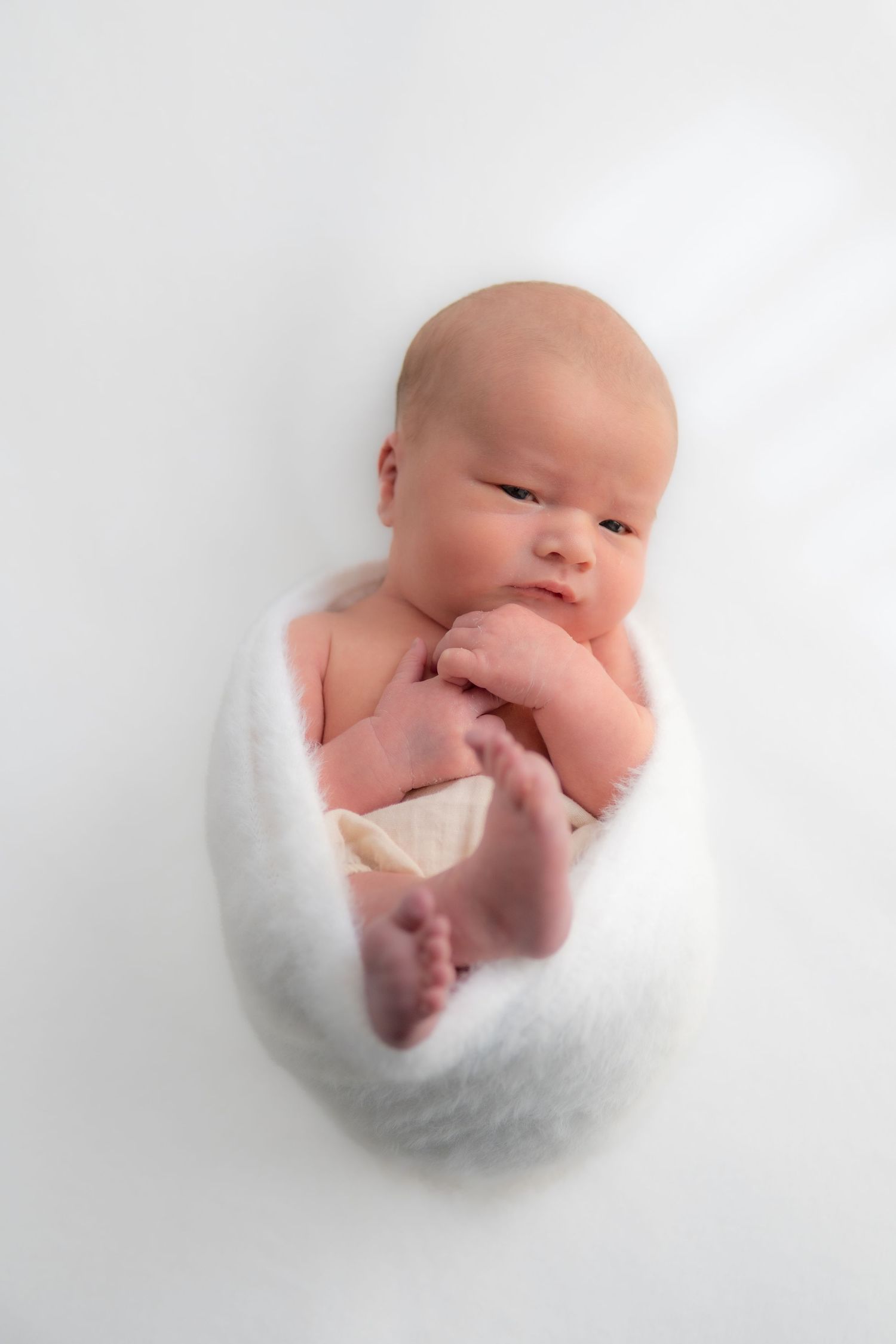 newborn photography