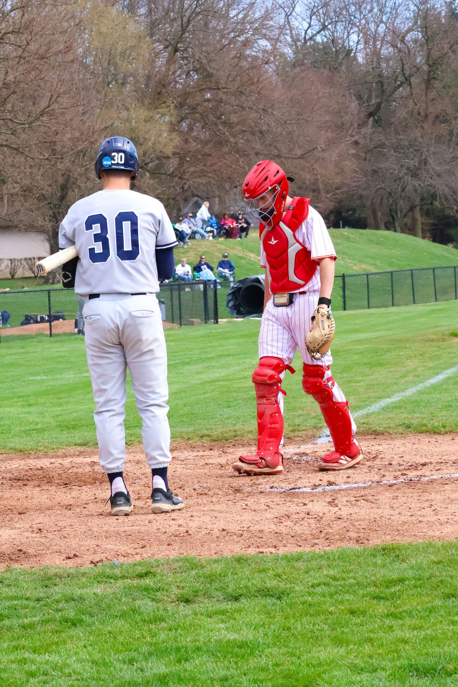 Baseball batter number 30 in gray uniform stands near home plate with red-uniformed catcher.