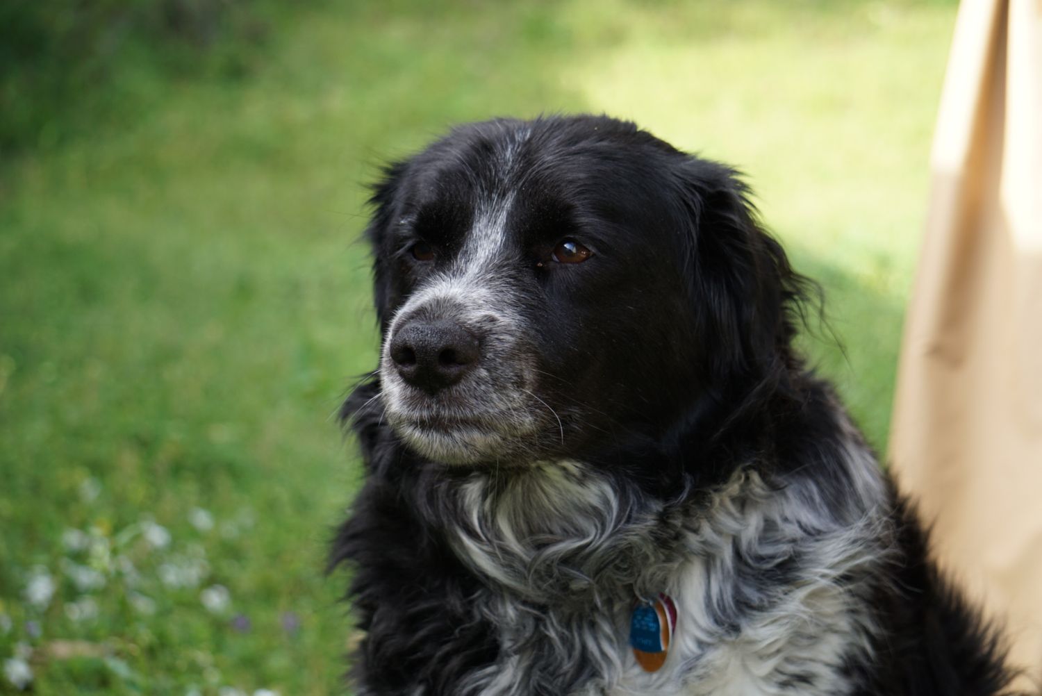 Dottie !