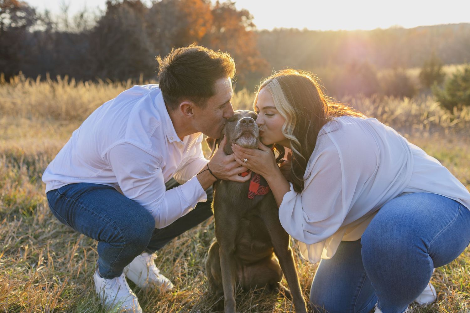 Couple in white shirts kissing their gray dog in a sunny golden field at sunset.