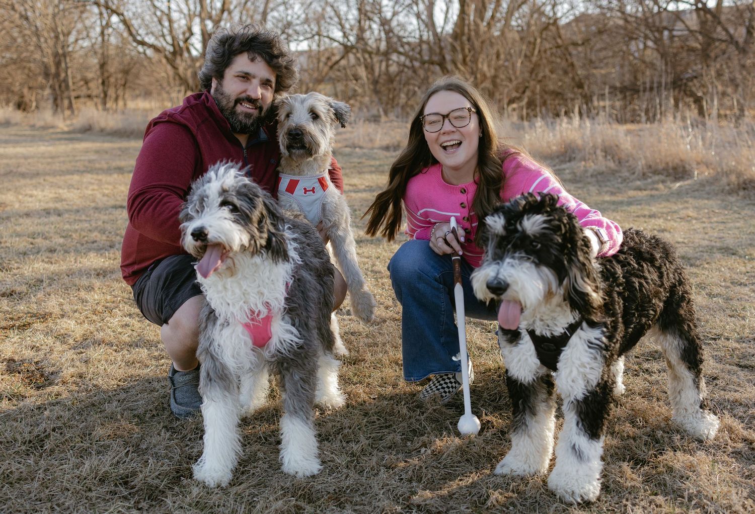 A smiling couple kneels outdoors with two fluffy black and white Sheepadoodle dogs on dry grass.