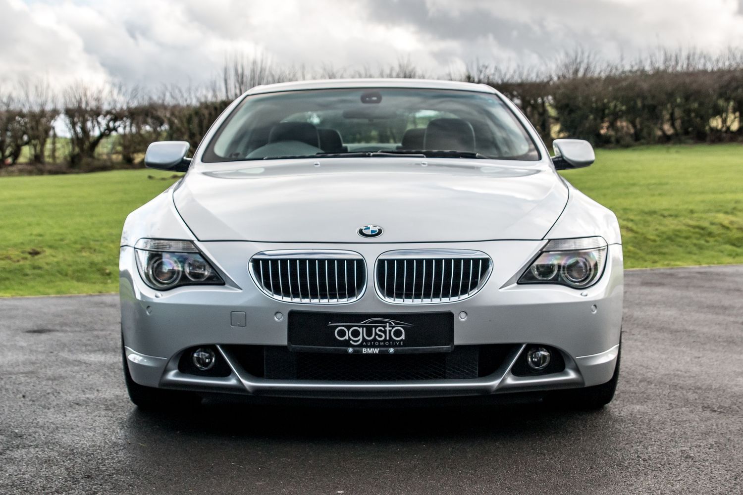 Front view of a silver BMW 6 Series coupe with iconic kidney grille, parked outdoors with green grass background.