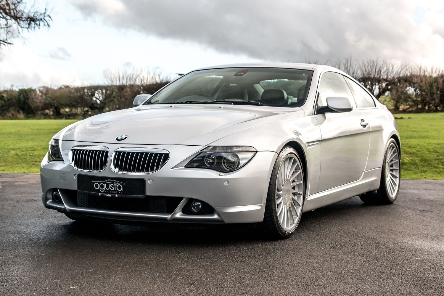 Silver BMW 6 Series coupe parked on a green lawn, showcasing its sleek design and Alpina alloy wheels.