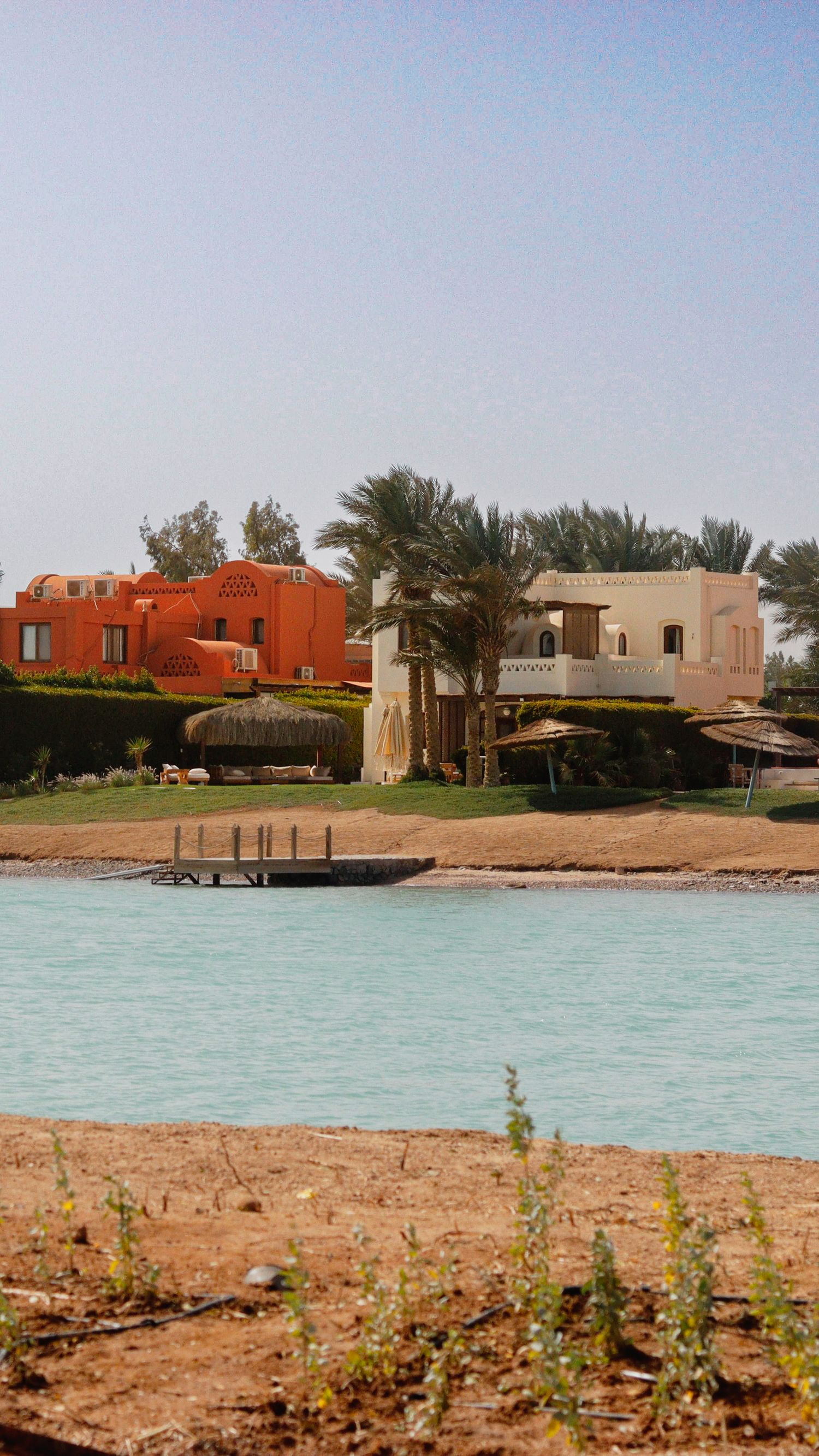 Waterfront view of residential homes with palm trees, captured across a calm body of water on a clear day.