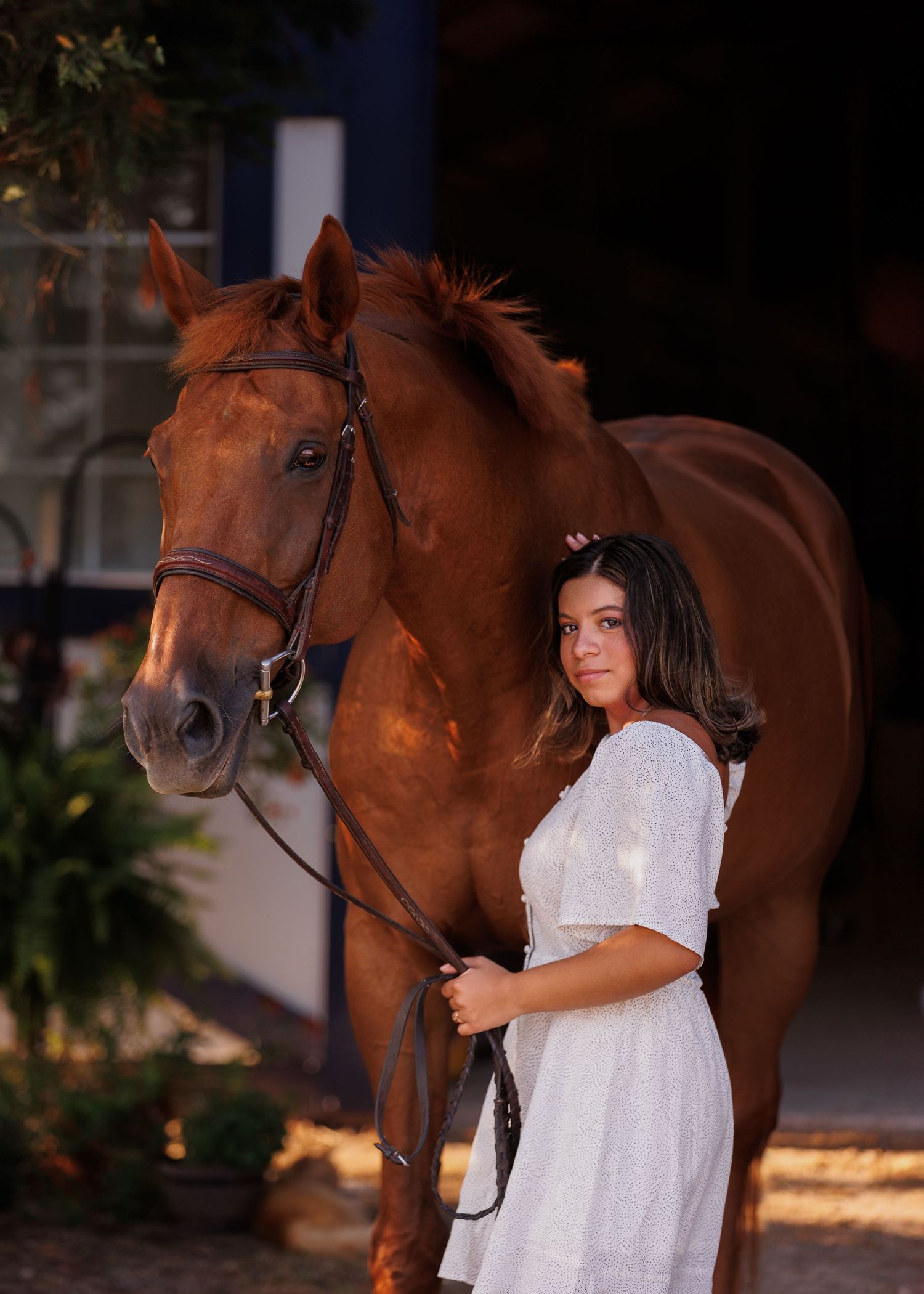 portrait of girl and horse. Equestrian portrait