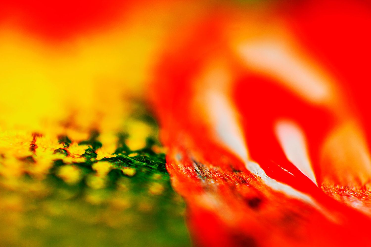 Close-up macro shot of vibrant red, yellow, and green woven fabric texture with vivid colors and shallow depth of field.