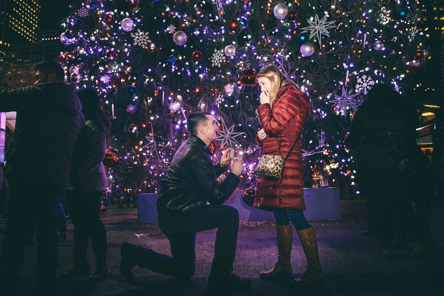 Romantic marriage proposal in front of spectacular holiday Christmas tree with purple and white lights.