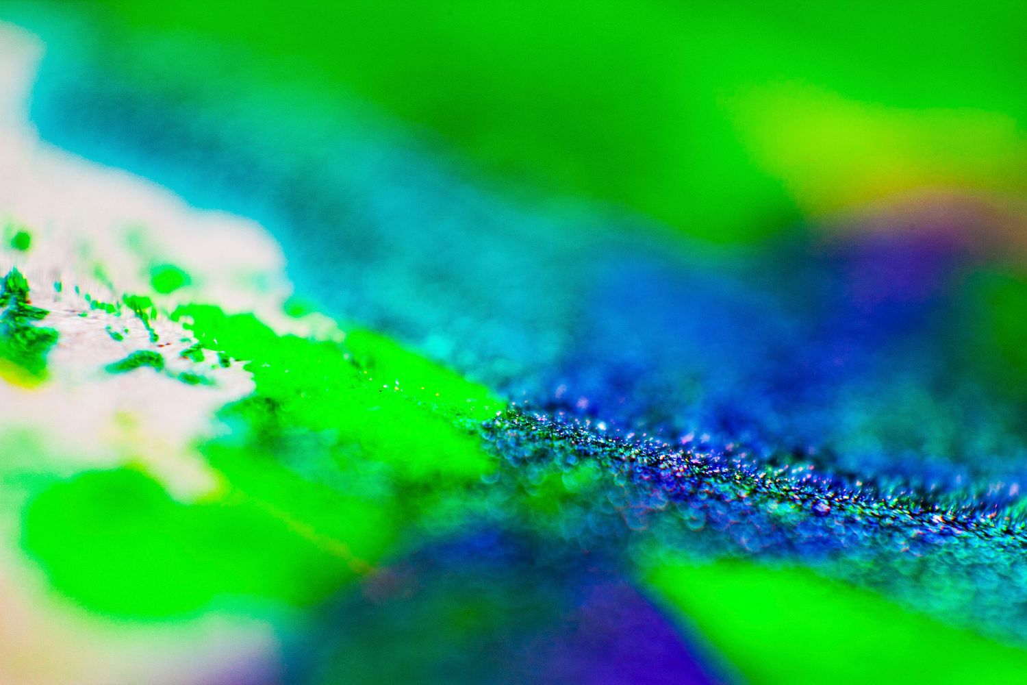 Vibrant abstract macro photography featuring swirls of neon green, blue, and purple hues in a colorful blurred composition.