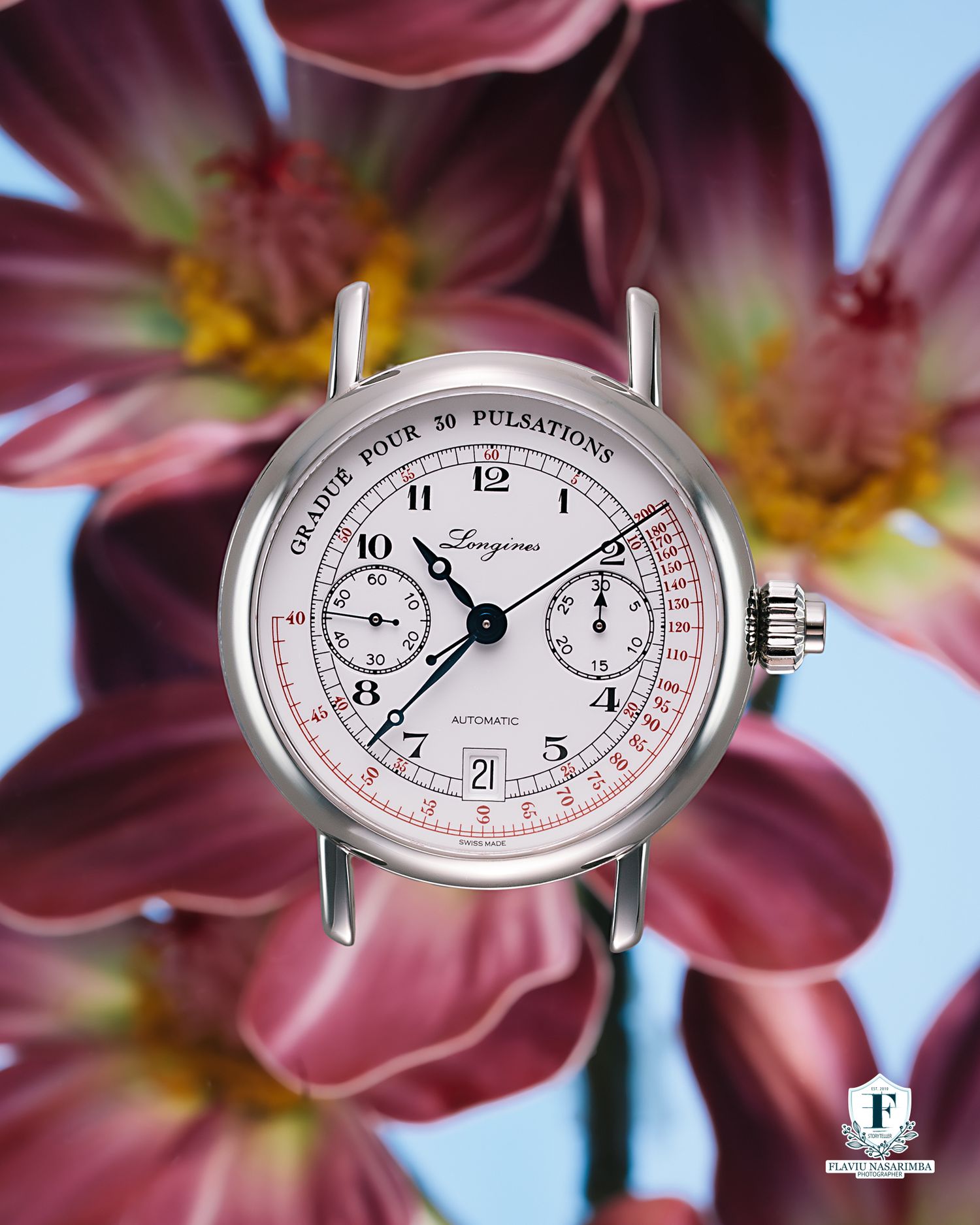 Longines automatic chronograph watch with pulsations scale dial displayed against pink flowers.