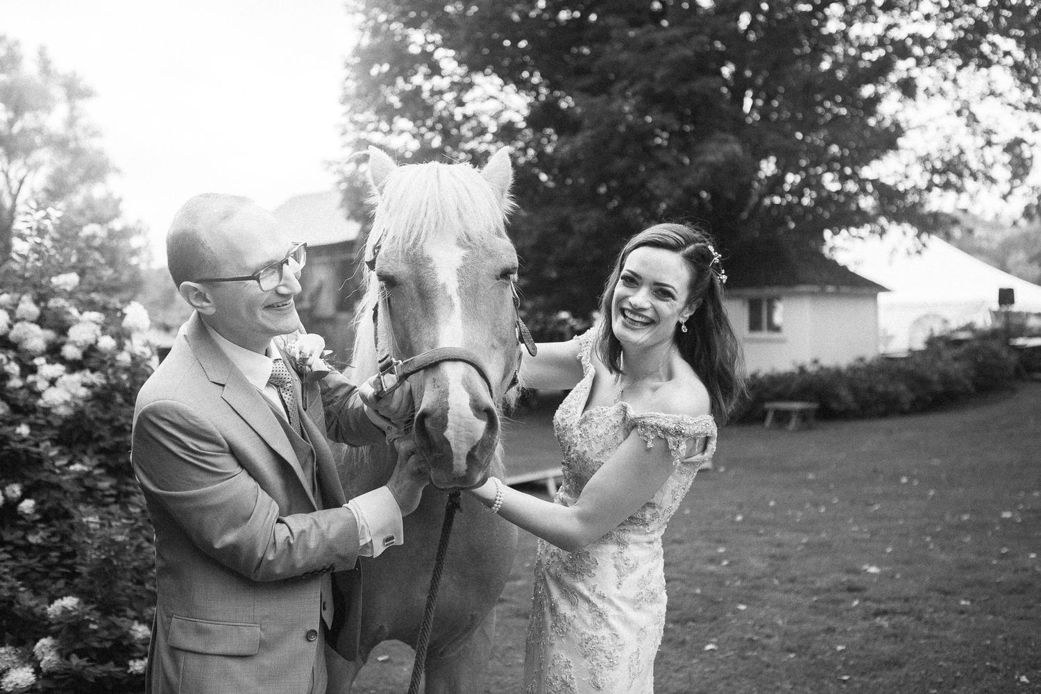 Bride and groom laughing with white horse outdoors in black and white wedding photo.