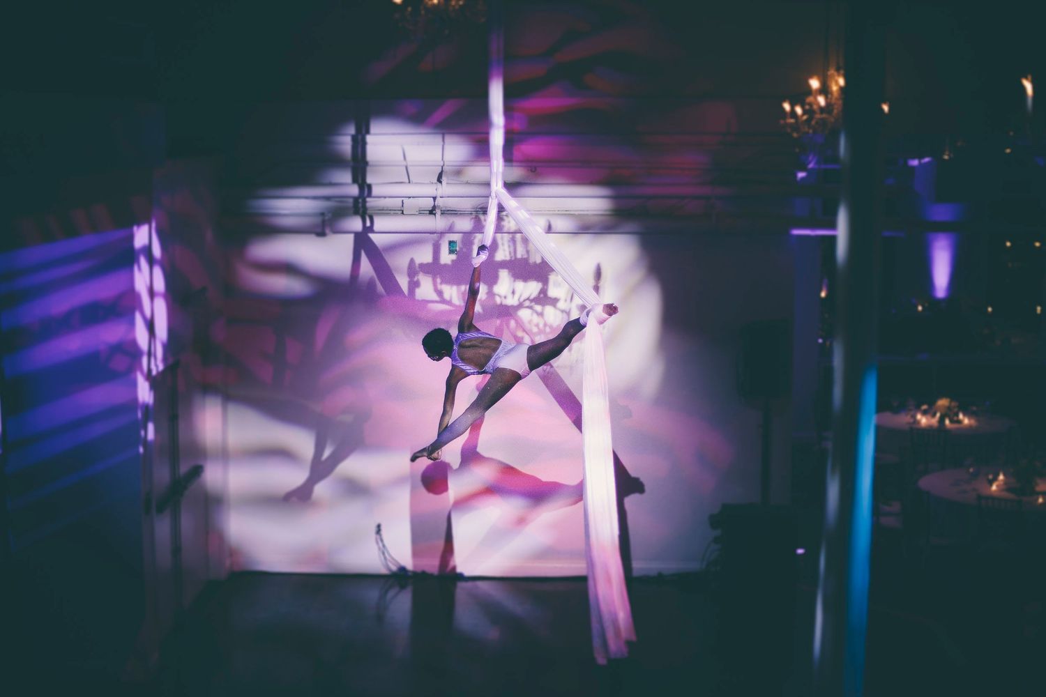 Aerial silk performer silhouetted against a projected floral backdrop with purple stage lighting.