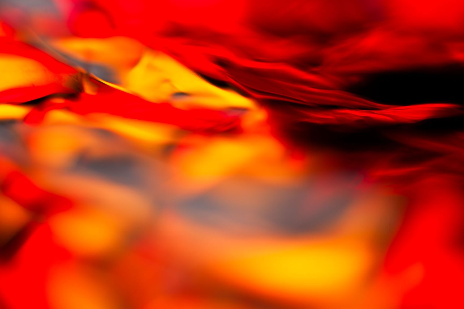Abstract macro photography of vibrant red, orange, and yellow blurred shapes creating a fiery, dynamic background.