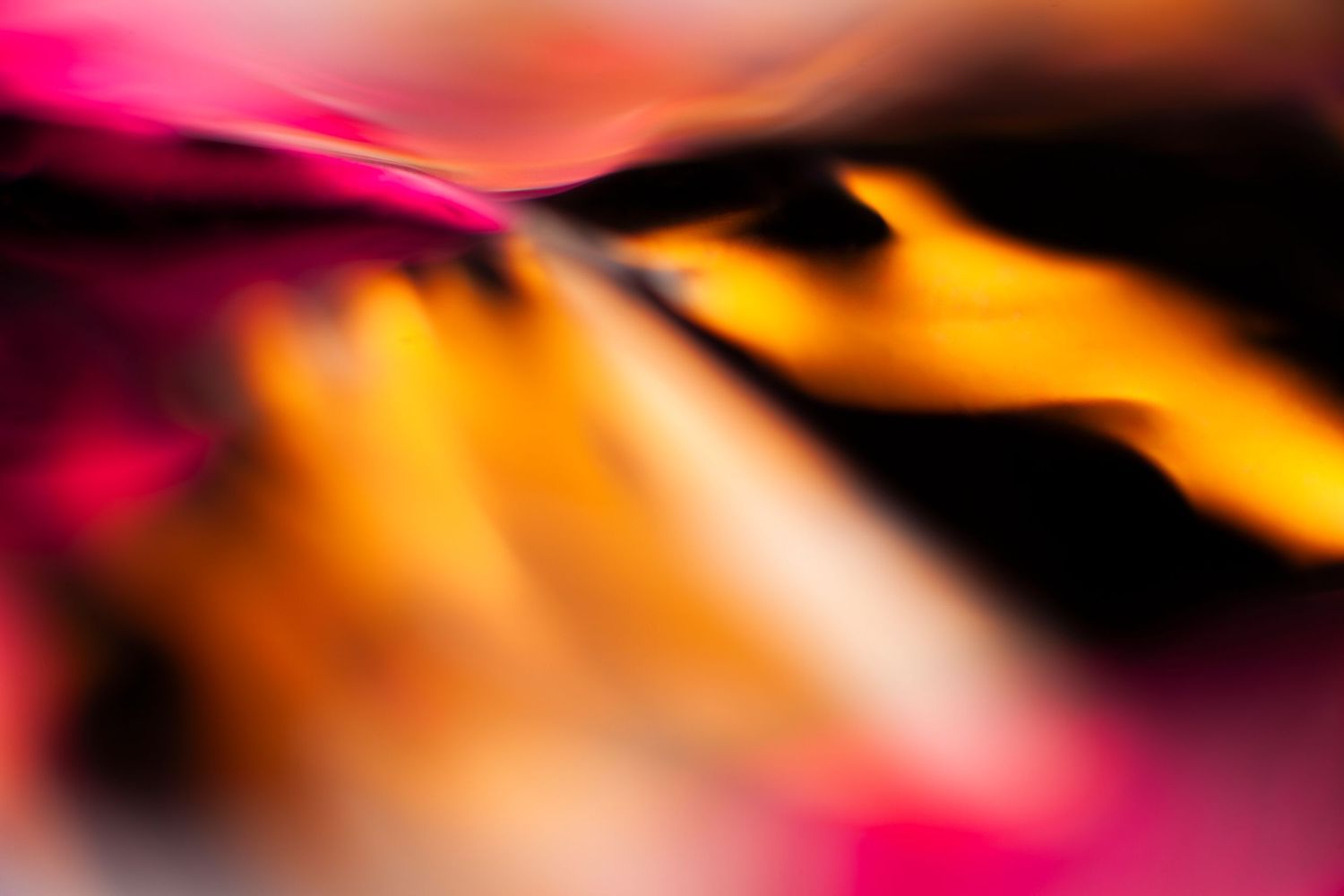 Abstract blurred motion of vibrant pink, orange, and yellow colors flowing against a dark background.