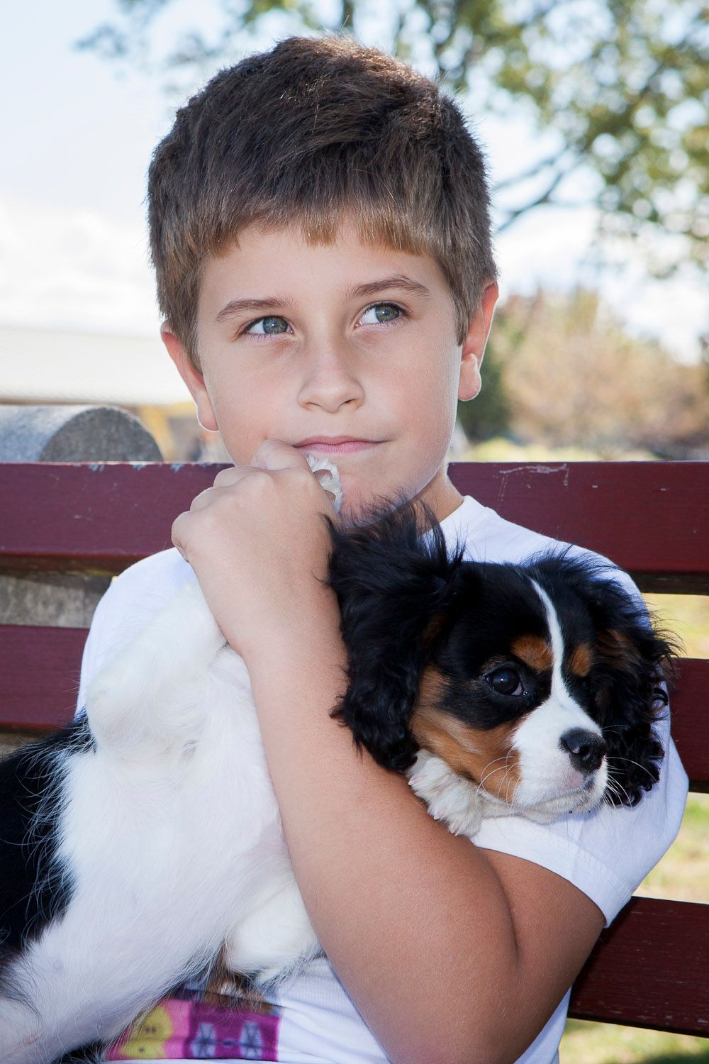 Young boy holding Cavalier King Charles Spaniel puppy on outdoor bench.