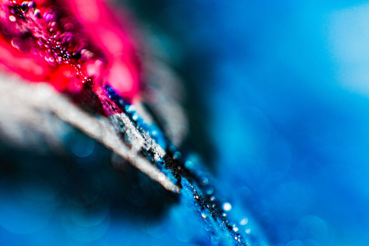 Close-up macro photo of vibrant pink and blue abstract textures with sparkling water droplets and bokeh background.